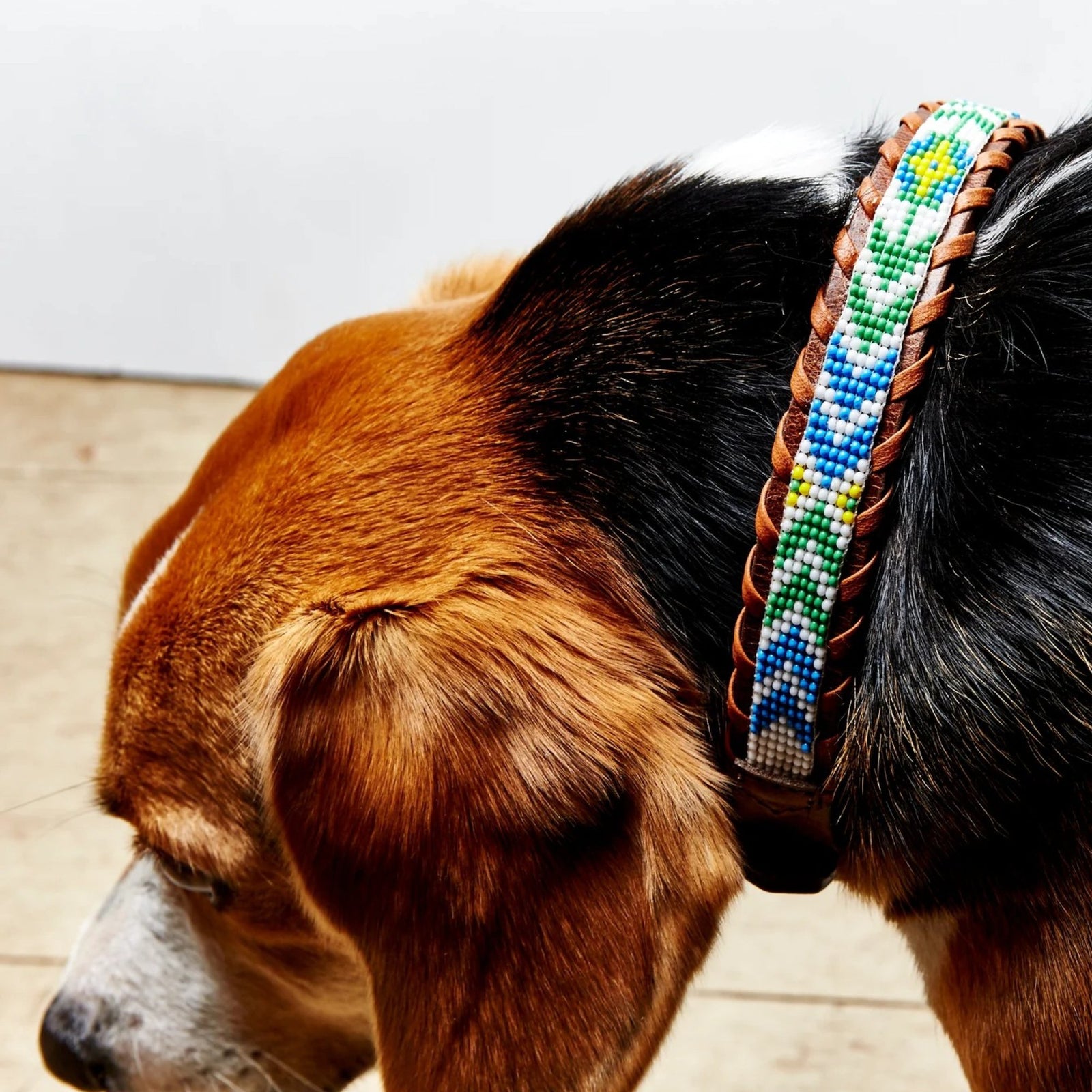 Flower / Arrows Dog Collar (thin) - grown&sewn